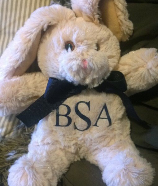 tan bunny, navy monogram, traditional font